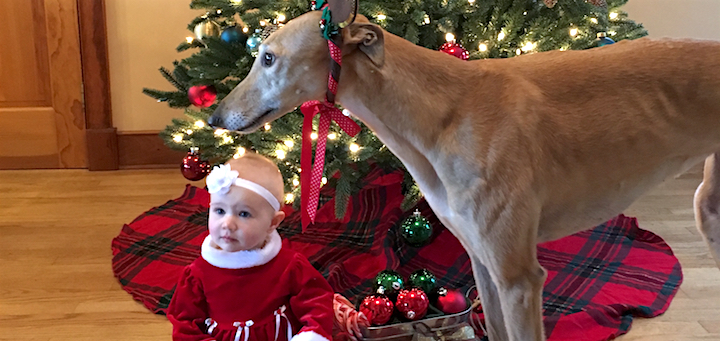 How To Give Frugal Gifts With Joy And Generosity