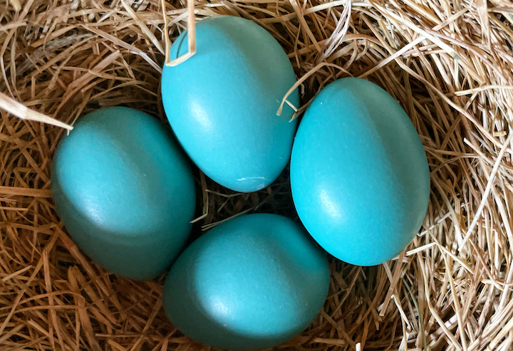 Home Improvement Supplies And Other April 2022 Expenses