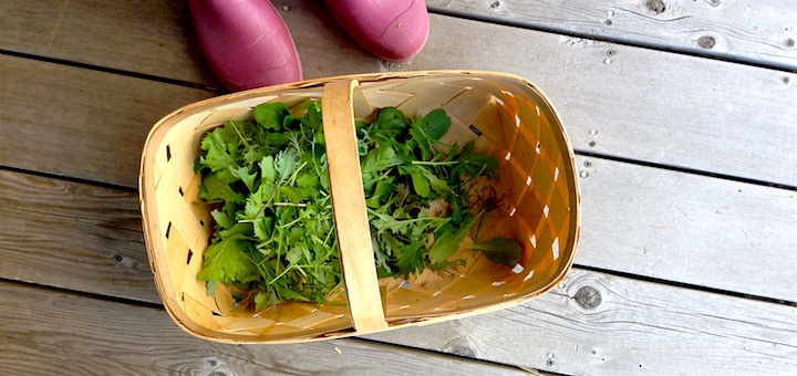 What Does A Frugal Person Eat?