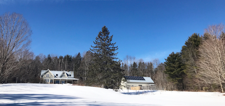 This Month On The Homestead: Hard Cider, Apple Tree Pruning, and a Baby!