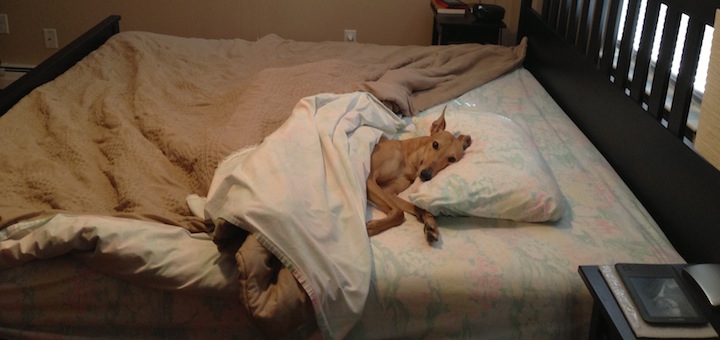 How We Saved $2,120 by Buying a Mattress Online