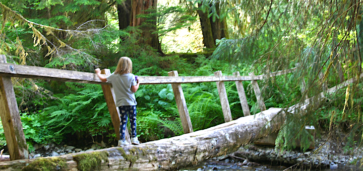 Reader Case Study: Family of Four Plans a Move from Oregon to Japan