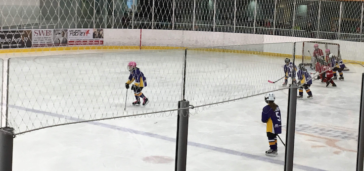 Reader Case Study: Canadian Family Plans For The Future (and yes, hockey is involved)