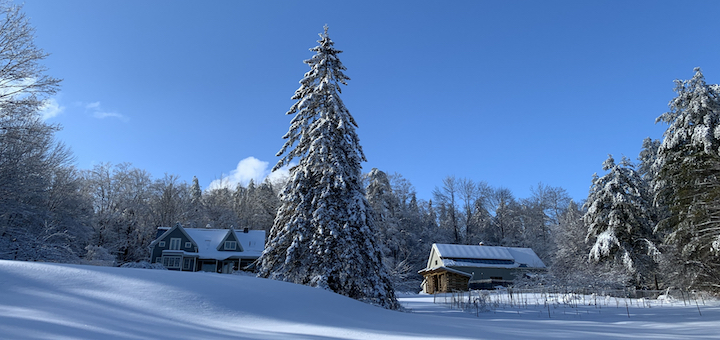 This Month On The Homestead: Birthday Baking, Icicle Hiking, and Getting Stuck on My Own Driveway