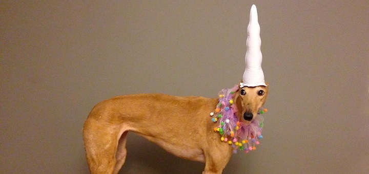 Unicorns, Soviets, and Compound Interest: Demystifying Personal Finance Part 1